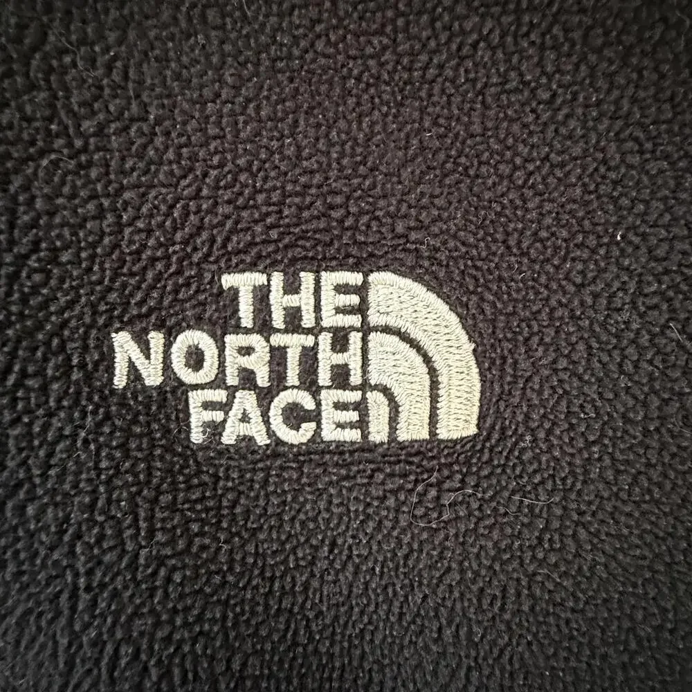 NORTH FACE quarter zip light weight fleece pullover Mens SZ M GorpCore CabinCore